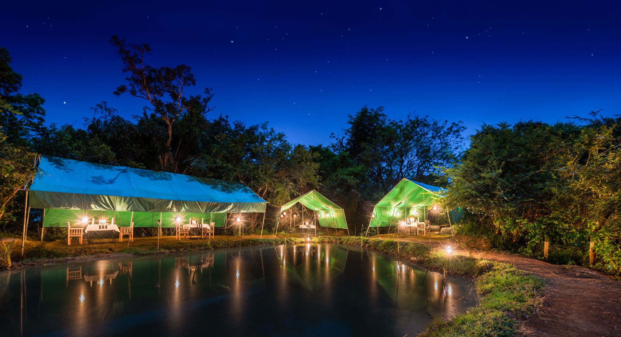 A campsite with tents and a clear night sky.