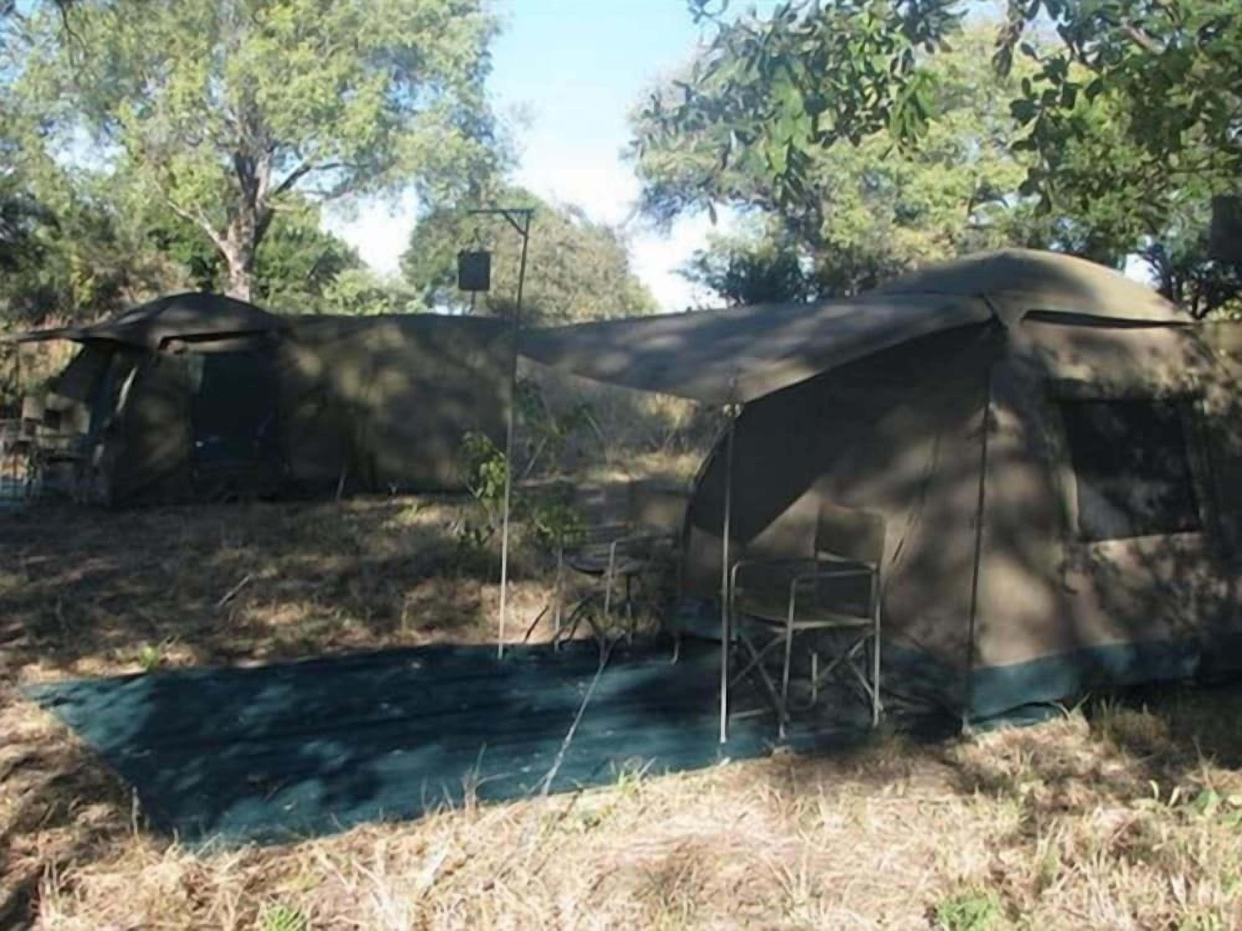 Ein mit Zelten belegter Campingplatz mit Tisch und Stühlen, umgeben von Bäumen.