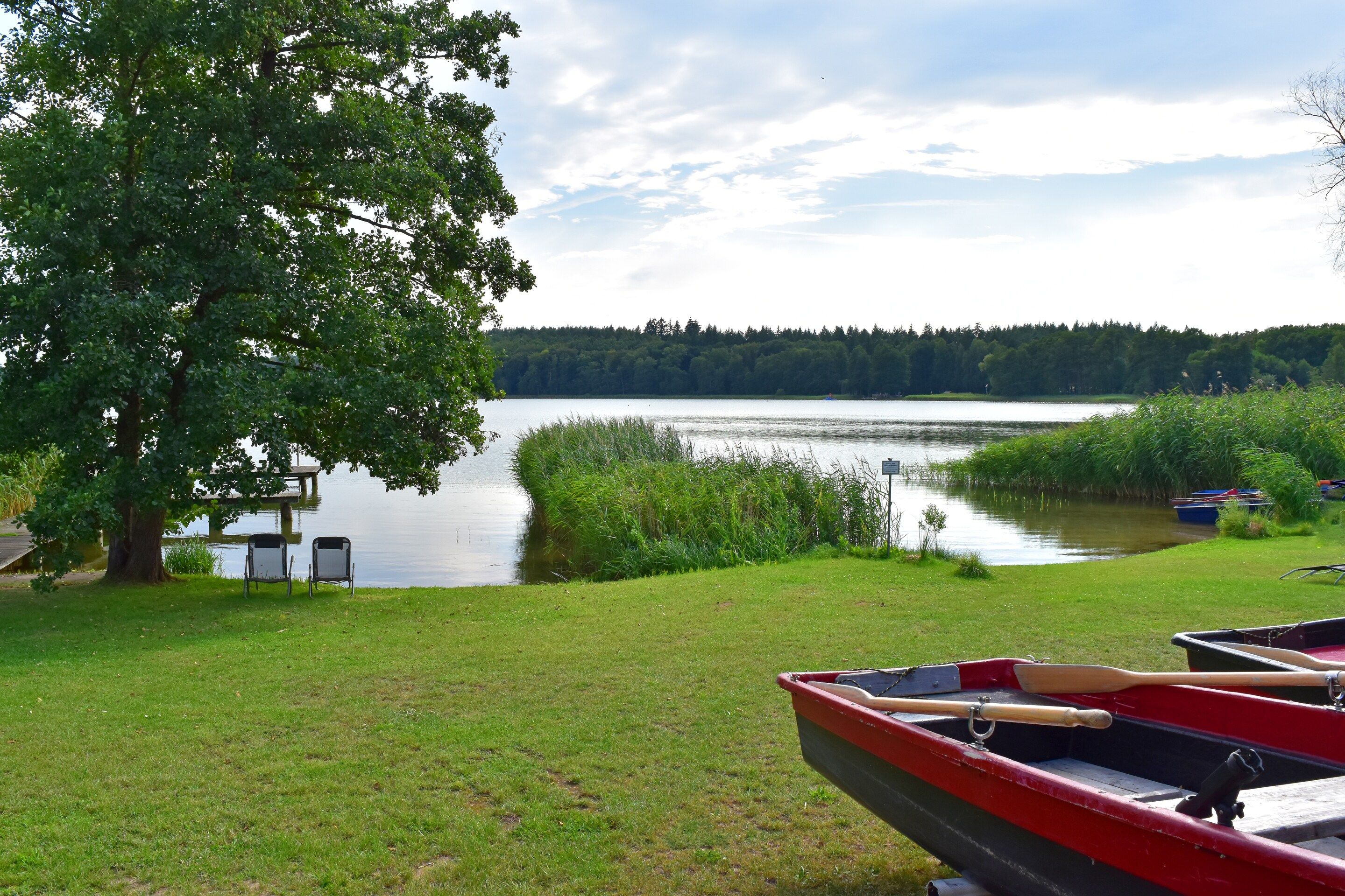 A lakeside view with boats, a tree, and a grassy area.
