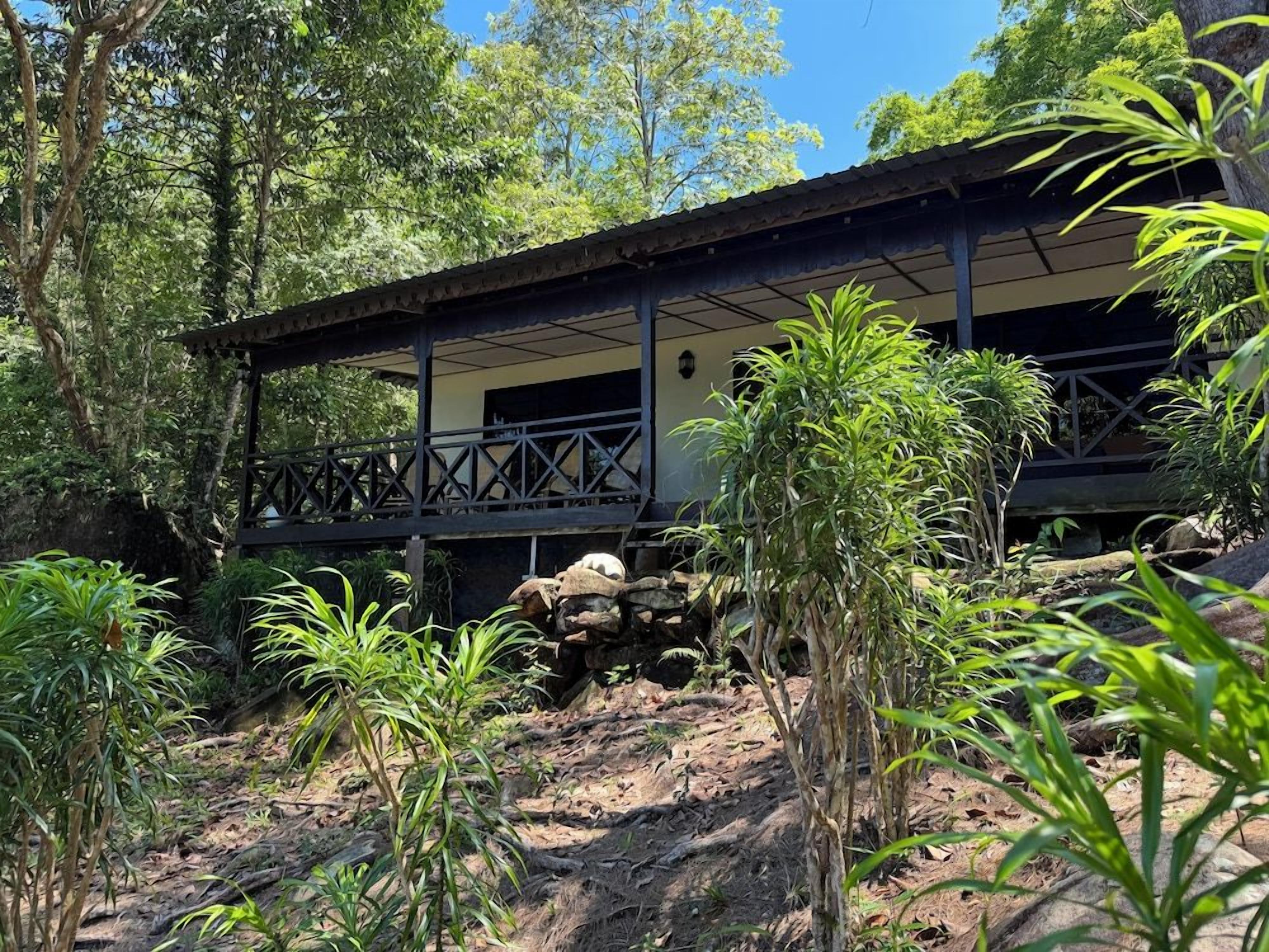 A rustic building with a balcony, surrounded by lush greenery and trees.