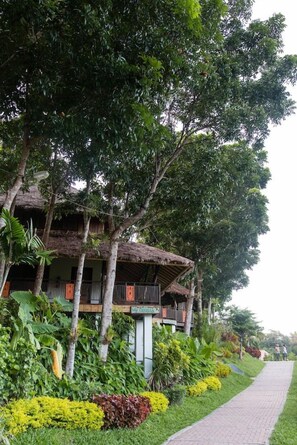 A building with a thatched roof, surrounded by lush greenery and a paved pathway.