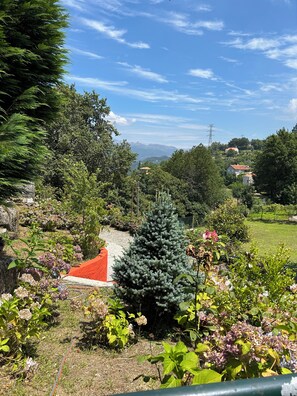 A garden with a variety of plants and a small structure. - Quinta de São Martinho – Pet-Friendly Country House in Gerês (Soengas)