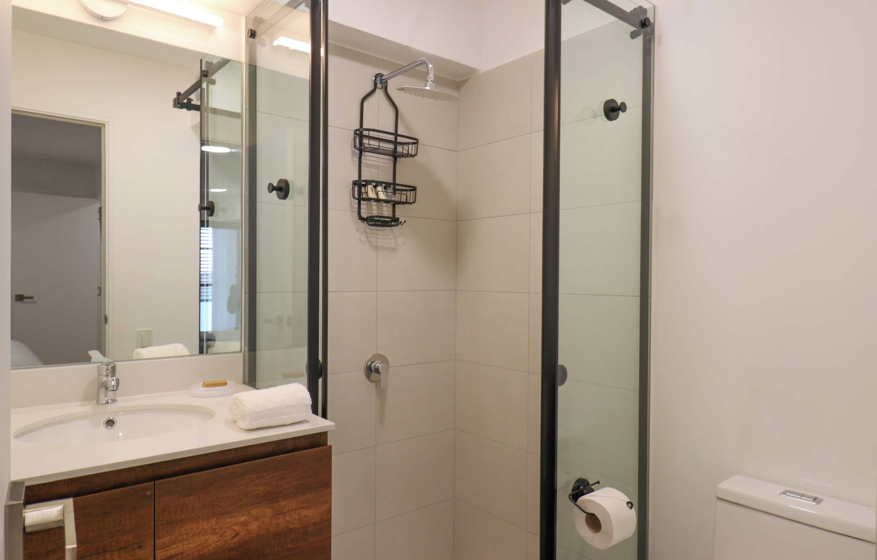 A modern bathroom with a glass shower enclosure, a vanity with a sink, and a toilet.