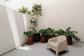 Eine Ecke eines Raumes mit einem weißen Stuhl, mehreren Kübelpflanzen und einer weißen Wand.
