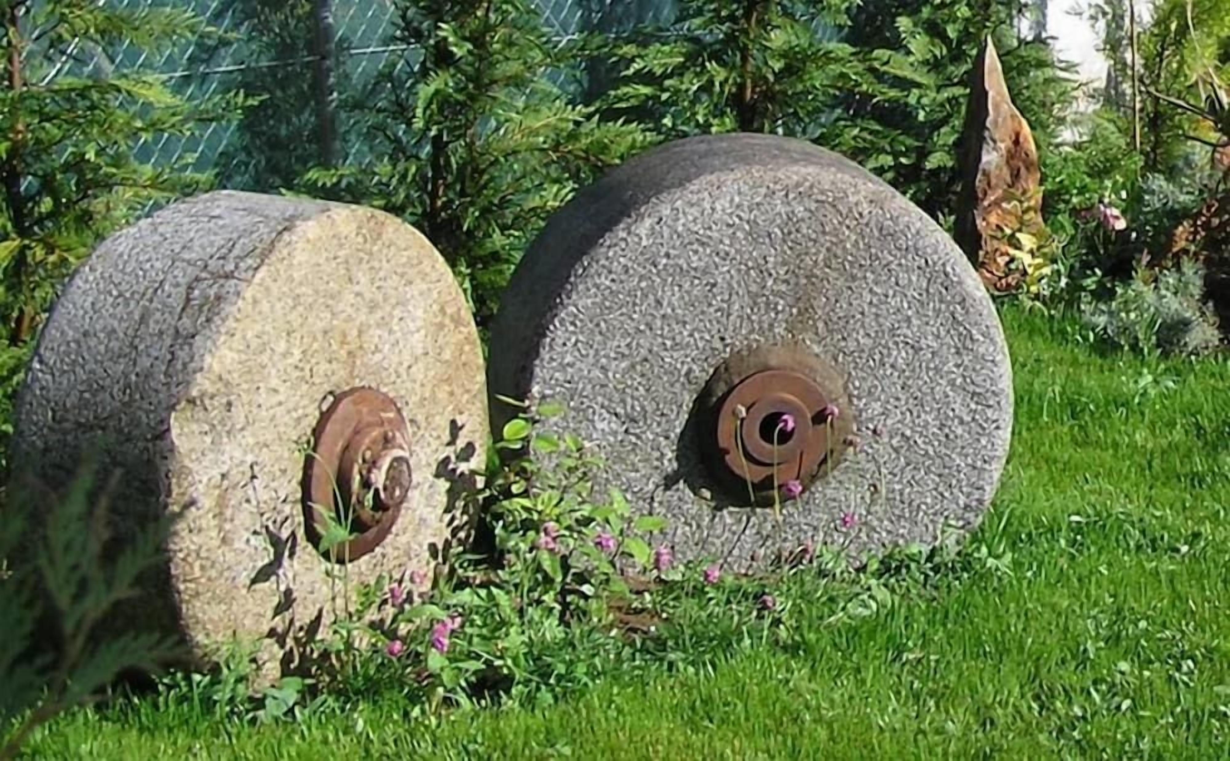 Zwei große Steinscheiben mit Metallzentren, umgeben von Gras und kleinen Pflanzen.
