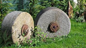 Zwei große Steinscheiben mit Metallzentren, umgeben von Gras und kleinen Pflanzen.