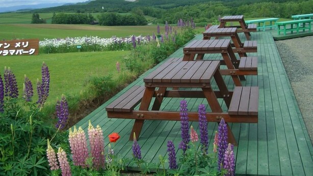 Outdoor dining - Pension Ken and Mary (Biei)