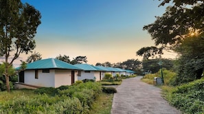 A row of single-story cabins with green roofs, a paved walkway, and surrounding greenery. - Aamby Valley City, Lonavala (Paud)