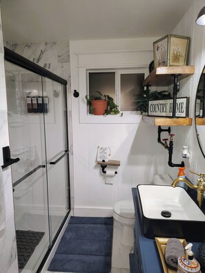 A bathroom with a glass shower enclosure, a toilet, a sink with a mirror, and a shelf with a potted plant. - Bonita Home- Charming 3-bedroom house with AC in scenic Twin Falls (Twin Falls)