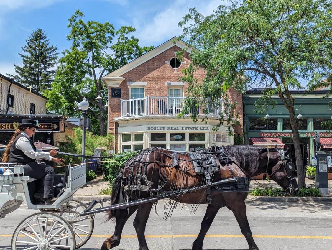 A horse-drawn carriage on a street with buildings in the background.