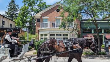 A horse-drawn carriage on a street with buildings in the background.