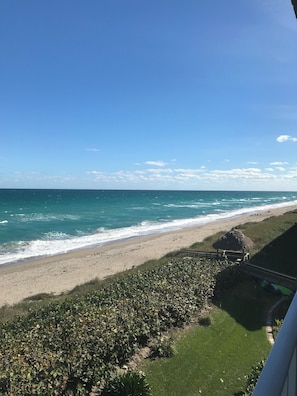 A beach view with a grassy area and a thatched structure. - Perfect combination of ocean and sunshine in this 2/2 oceanfront condo (Jensen Beach)