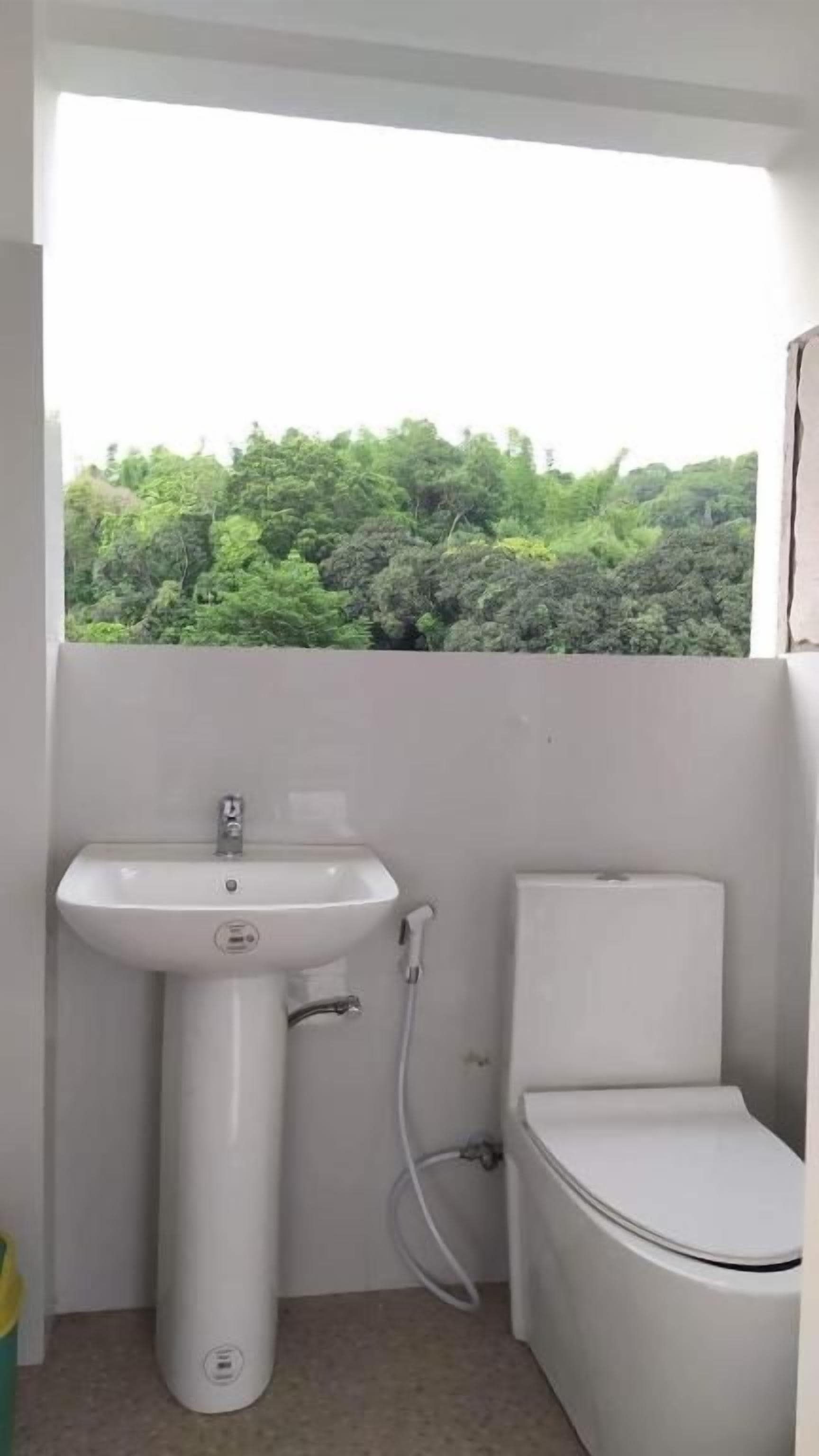 Un baño pequeño con un lavamanos y un inodoro blancos, una ventana con vista a un bosque verde.