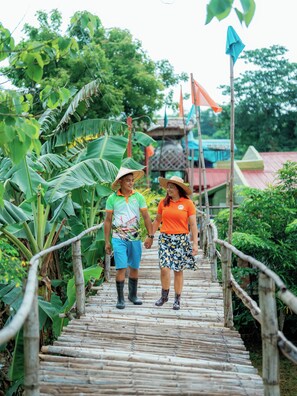 A wooden bridge with railings, surrounded by lush greenery and banana plants.