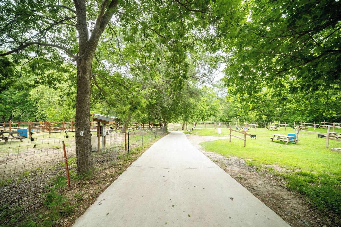 A park pathway with picnic tables and a fenced area.