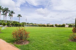 Sportveld