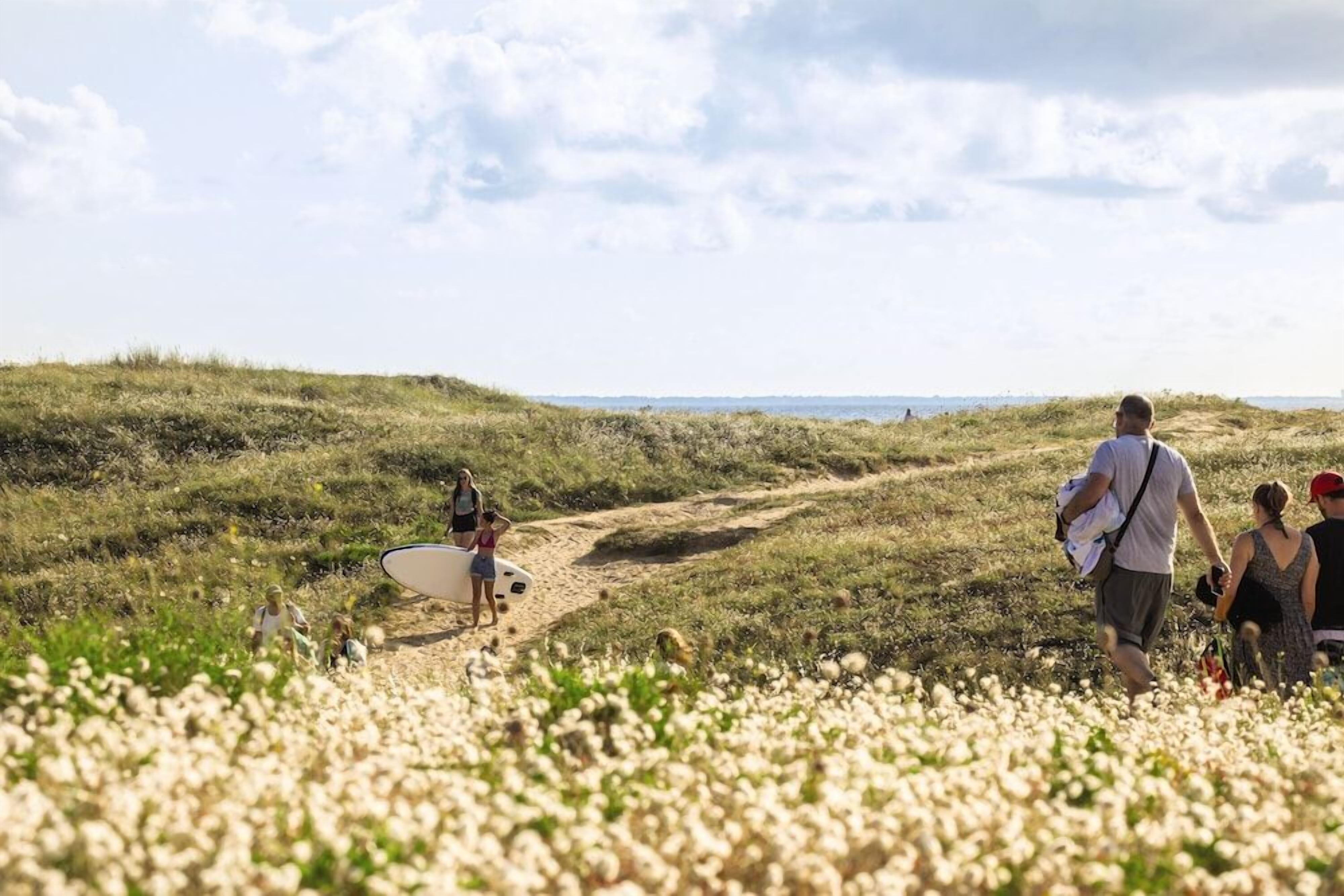 A group of people walking on a sandy path through a field of white flowers, with a beach visible in the distance.