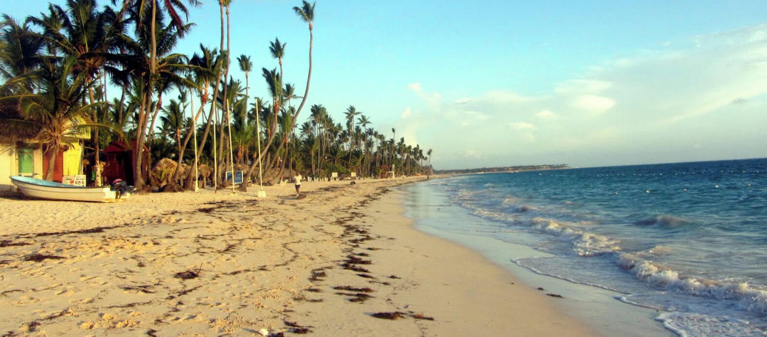 Uma praia com palmeiras, areia dourada e mar calmo.