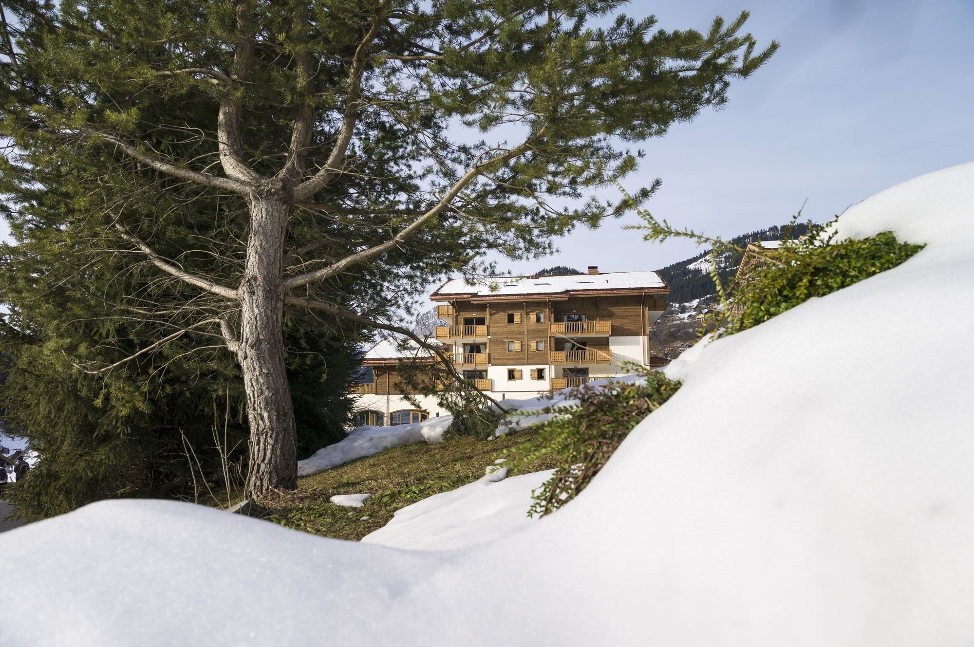 Un immeuble à plusieurs étages doté de balcons, entouré d’un paysage enneigé et d’un grand arbre à feuilles persistantes.