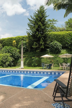 A swimming pool with a tiled edge, surrounded by greenery and a tall tree.