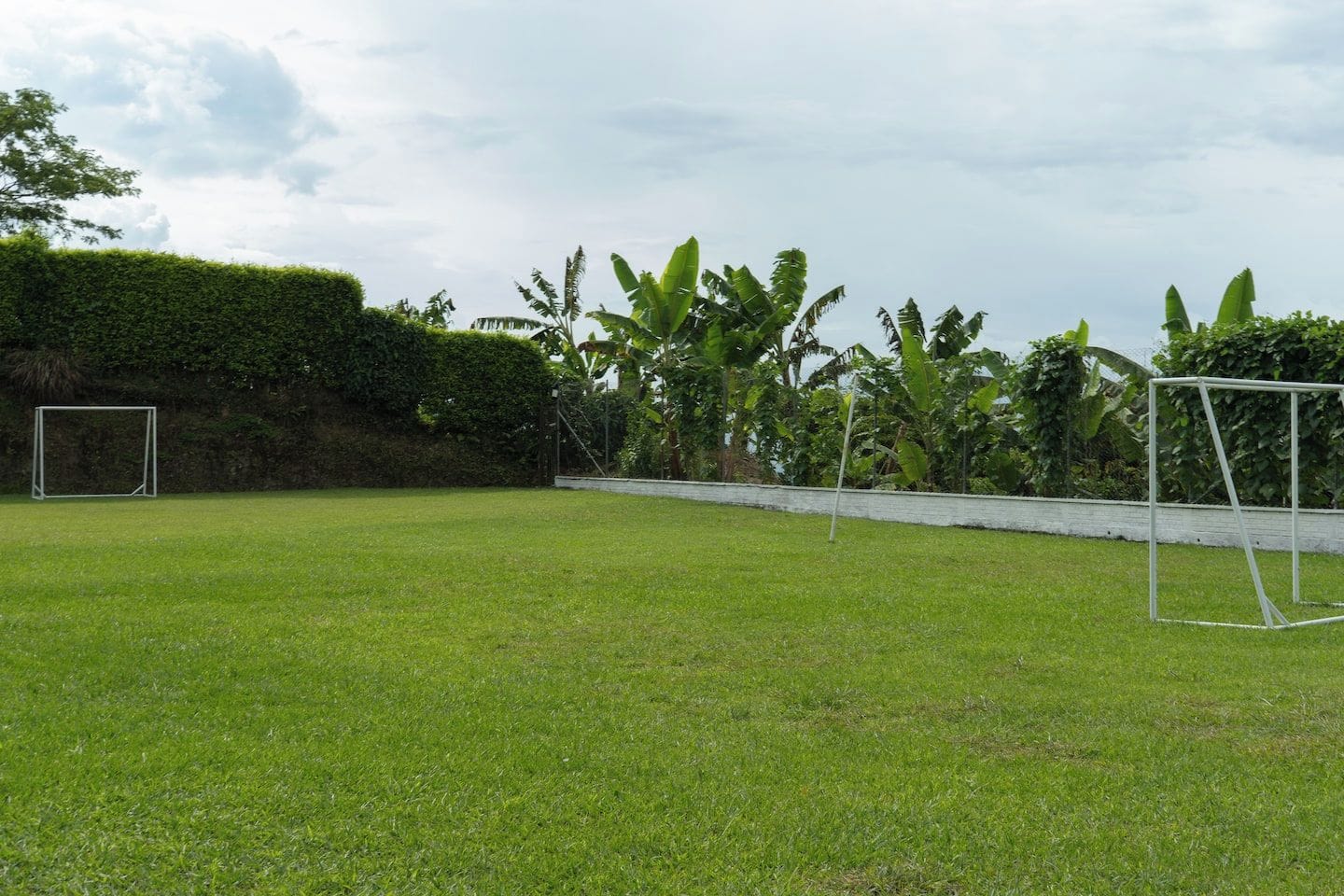 A grassy field with a soccer goal and a hedge.
