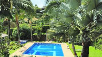 A swimming pool surrounded by lush greenery and palm trees.