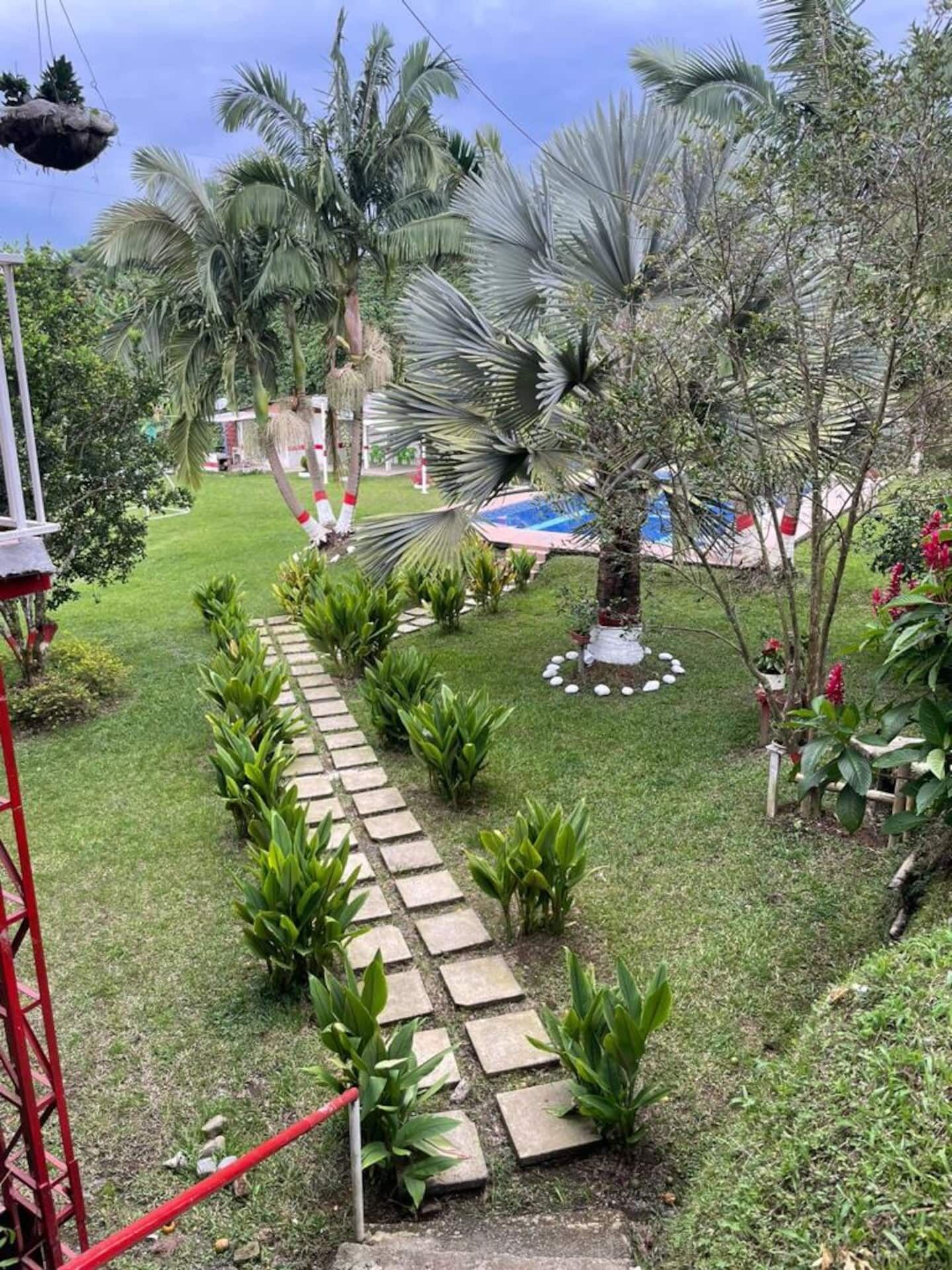 A garden with a stone pathway, various plants, and a pool in the background.