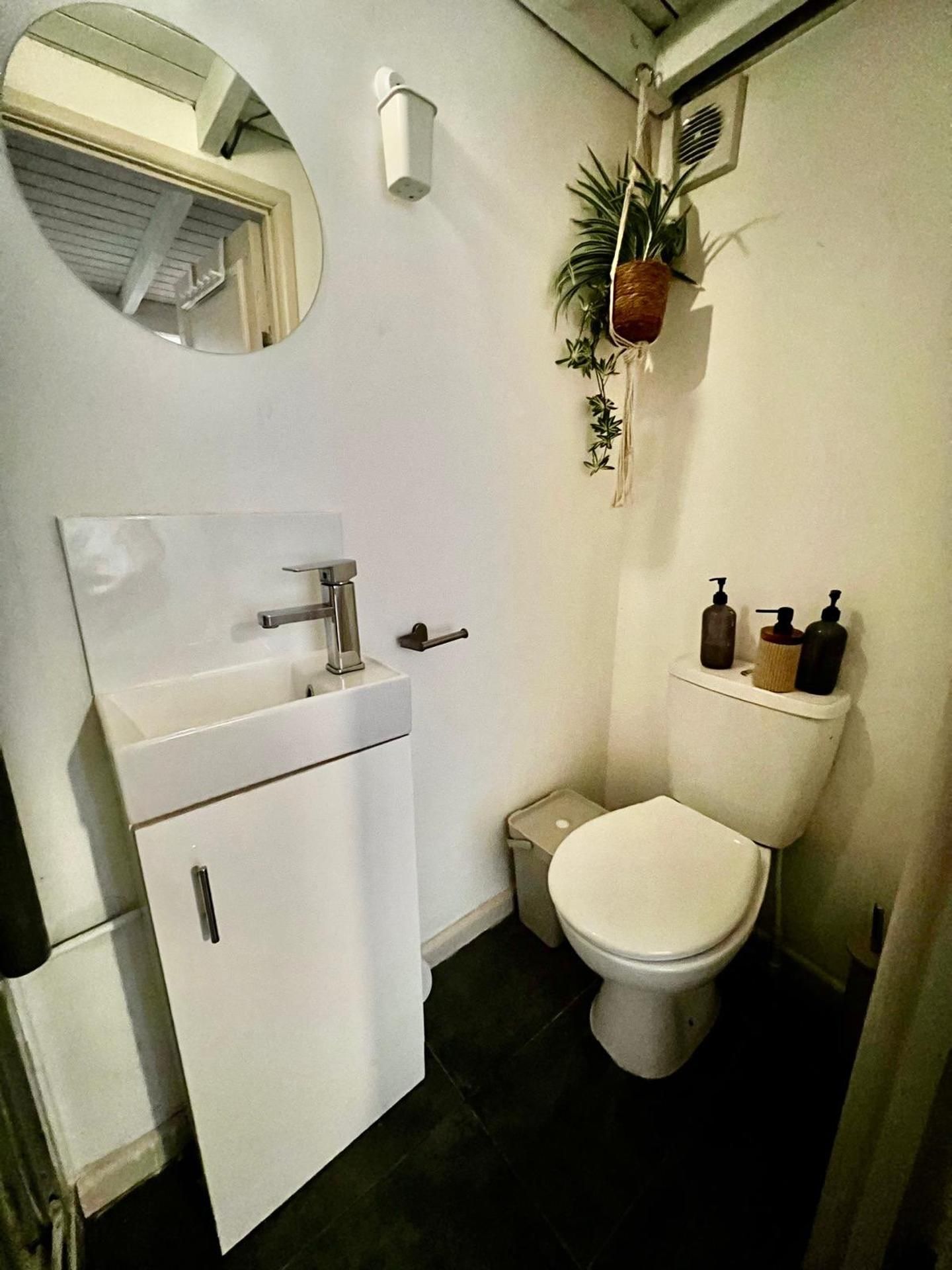A compact bathroom with a white sink, a toilet, and a mirror.