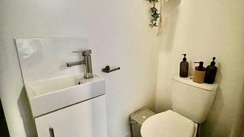 A compact bathroom with a white sink, a toilet, and a mirror.