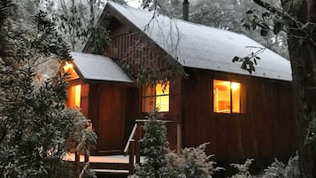 A wooden cabin with a sloped roof, a front porch, and a staircase leading to the entrance.