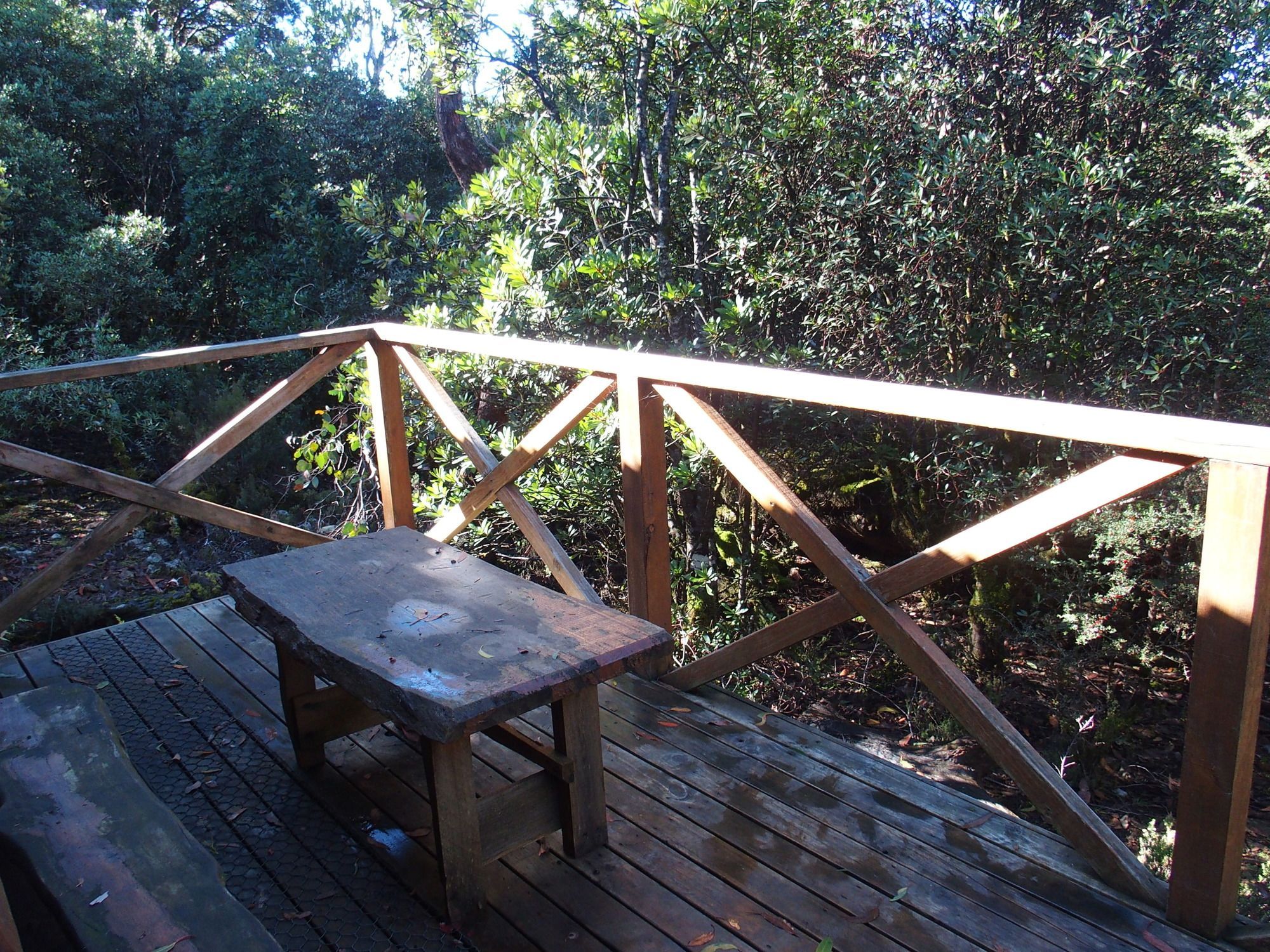 A wooden deck with a table and railing, surrounded by dense foliage.