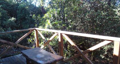 Cradle Mountain Highlanders Cottages