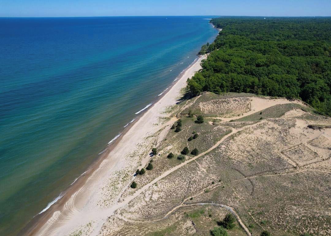 Vue aérienne d’une zone côtière avec une plage et une zone boisée.