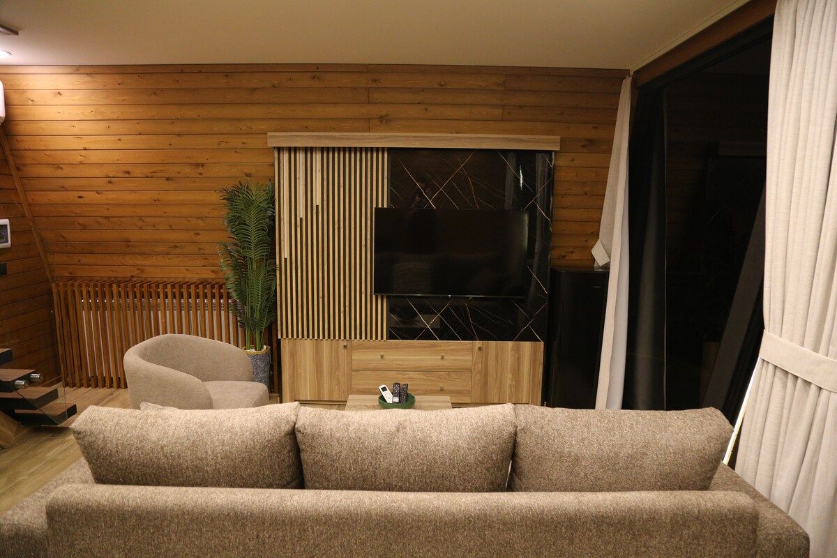 Una sala de estar con un sofá, un televisor y una planta.