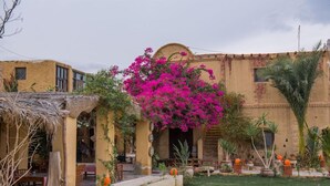 A traditional building with a thatched roof structure, a stone wall, and a vibrant bougainvillea plant. - Zad El Mosafer (Yusuf as-Sidiq)