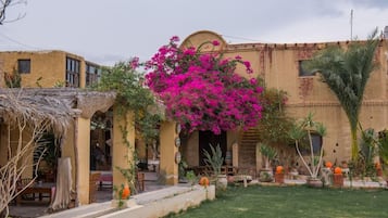 A traditional building with a thatched-roof structure, a garden with vibrant flowers, and a well-maintained lawn.