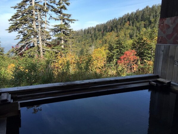 Pool - Tokachidake Onsen Ryokan Kamihoroso (Kamifurano)