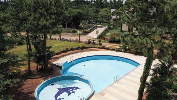 Una piscina amb un disseny de dofí, envoltada d'arbres i una zona enjardinada.
