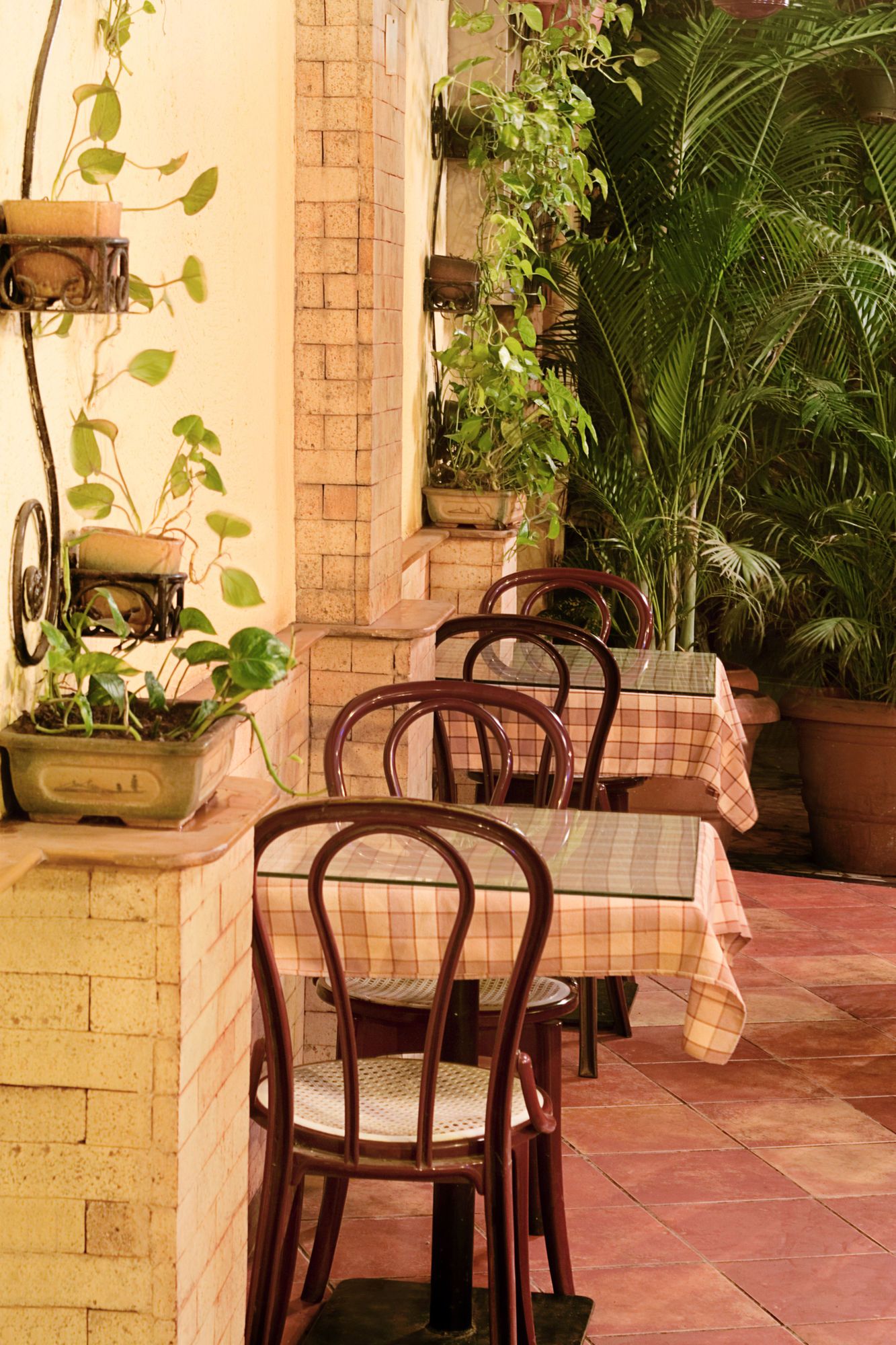 An outdoor patio area with brick walls, potted plants, and a table set for dining.