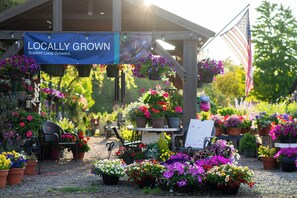 A garden center with a sign reading 'Locally Grown Support Local Growers.'