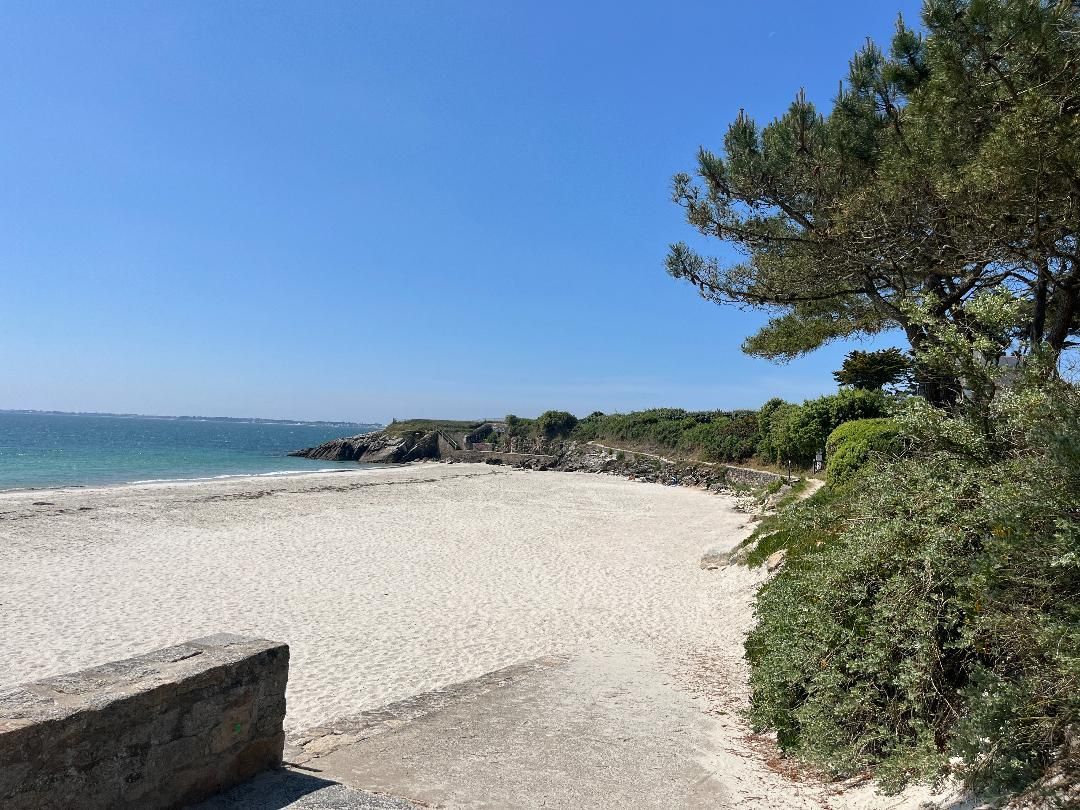 Une plage de sable bordée d’un ciel bleu azur, d’un mur de pierre et d’une végétation luxuriante.