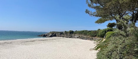 A sandy beach with a clear blue sky, a stone wall, and dense greenery.
