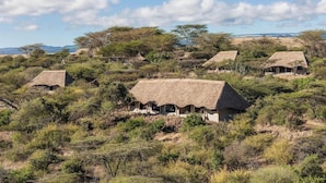 A safari lodge with thatched-roof huts surrounded by dense bushland and trees. - Lewa Safari Camp (Meru)
