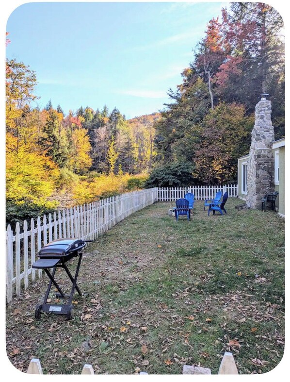 Fenced in back yard