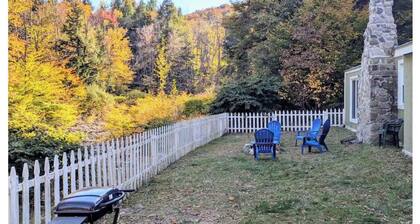 Cozy Ski Cabin w/ Fenced Yard 10 Min to Mt Snow, 20 Min to Stratton,Dog Friendly