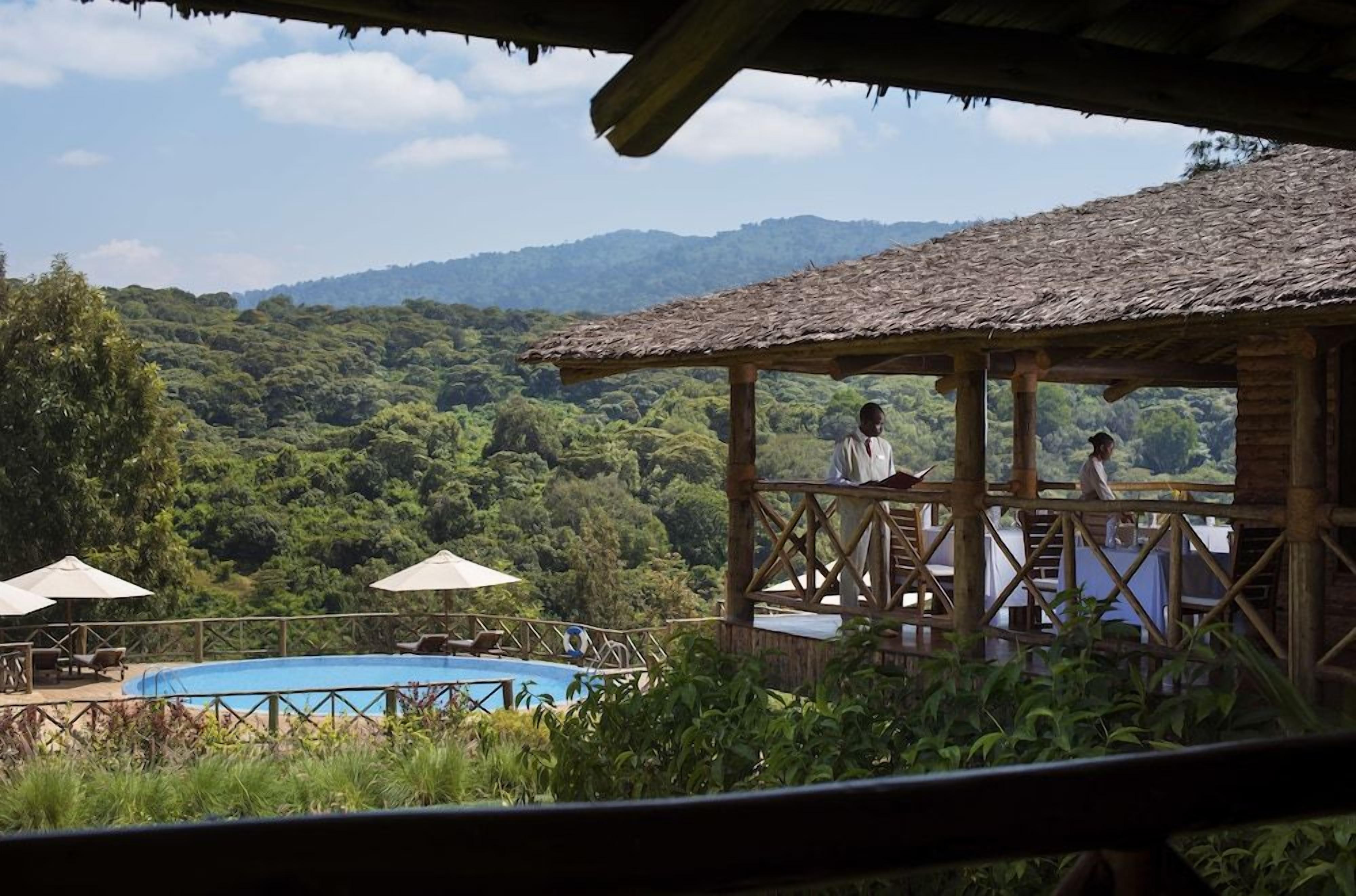 A wooden structure with a pool and lounge chairs, overlooking a forested landscape.