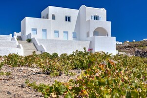 Un edificio blanco con una escalera que conduce a la entrada, rodeado de vegetación.