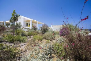 A white building with a covered outdoor area, surrounded by various plants and shrubs. - Villa Agrikoia (Santorini)