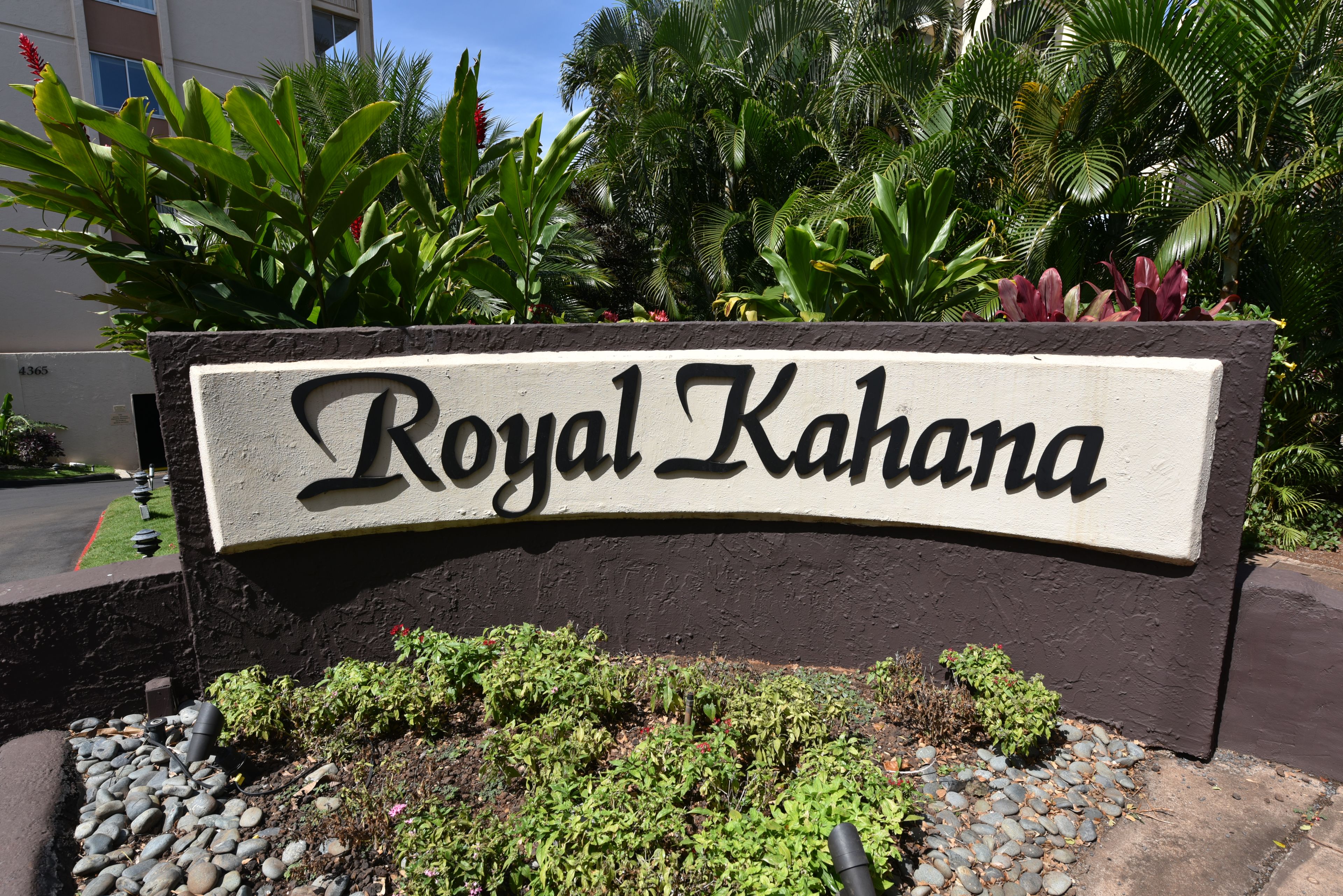 Une enseigne portant le nom « Royal Kahuna », écrit dans une police stylisée, entourée d’une végétation luxuriante et bordée d’un chemin de pierres.