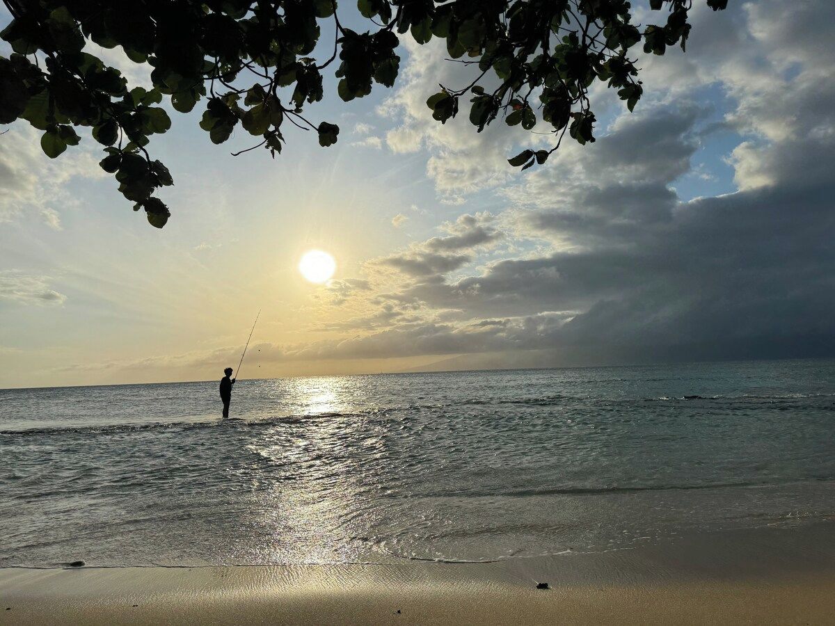 Eine Strandansicht mit einer Person beim Angeln, der tief stehenden Sonne am Horizont und einem klaren Himmel.